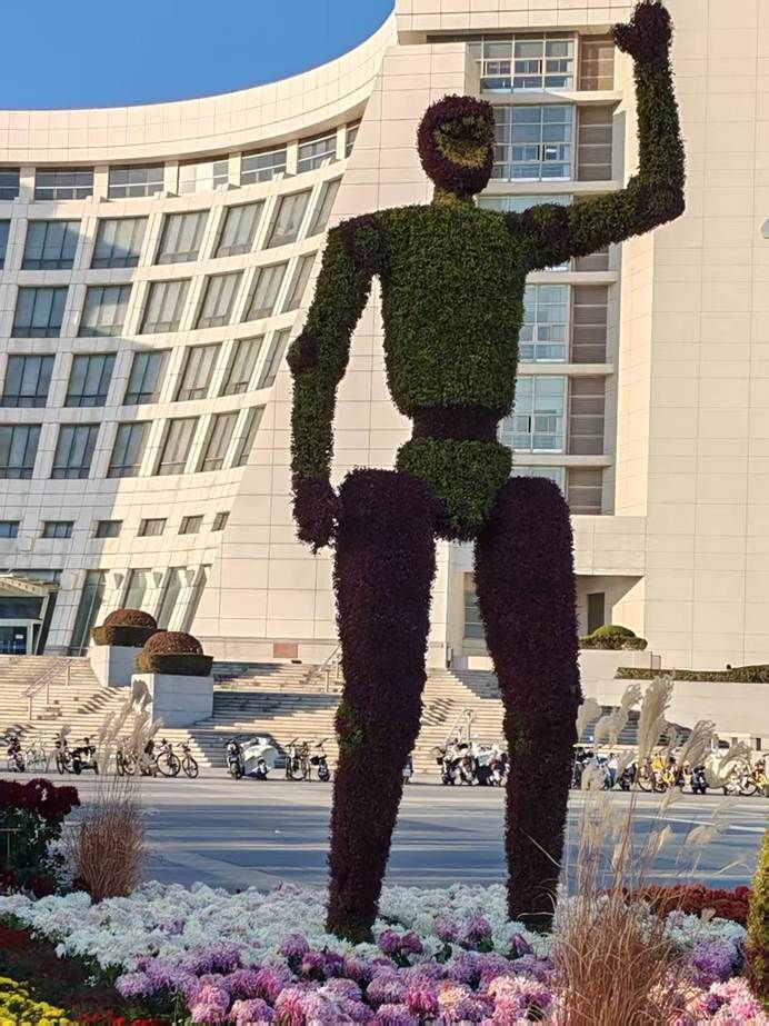 6a9ae4d1a6a809e945162df8d2a56b9