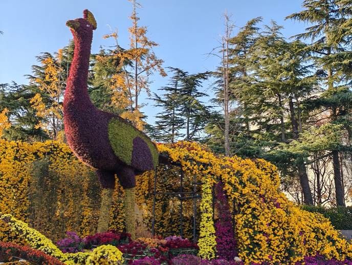 微信图片_20251209155841