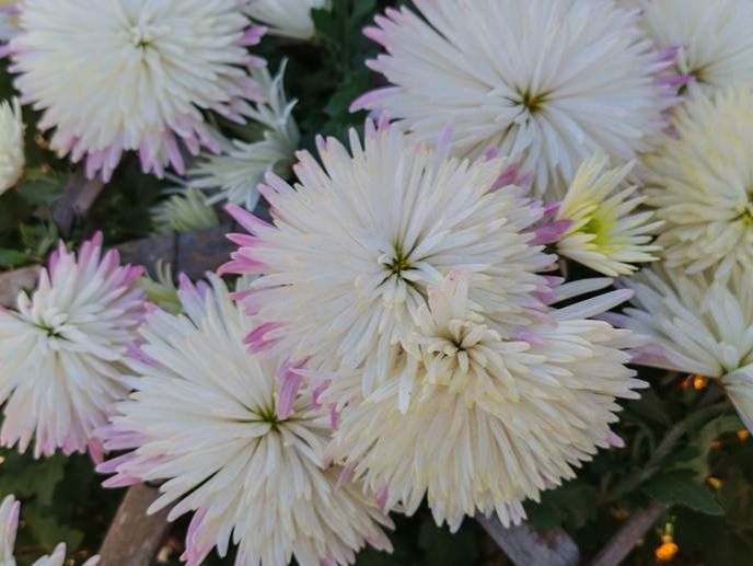 微信图片_20251209155943