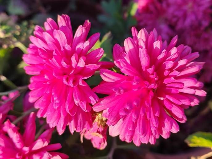 微信图片_20251209160055