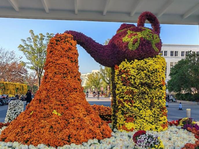 微信图片_20251209160035