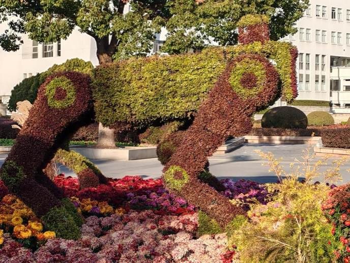 微信图片_20251209160116