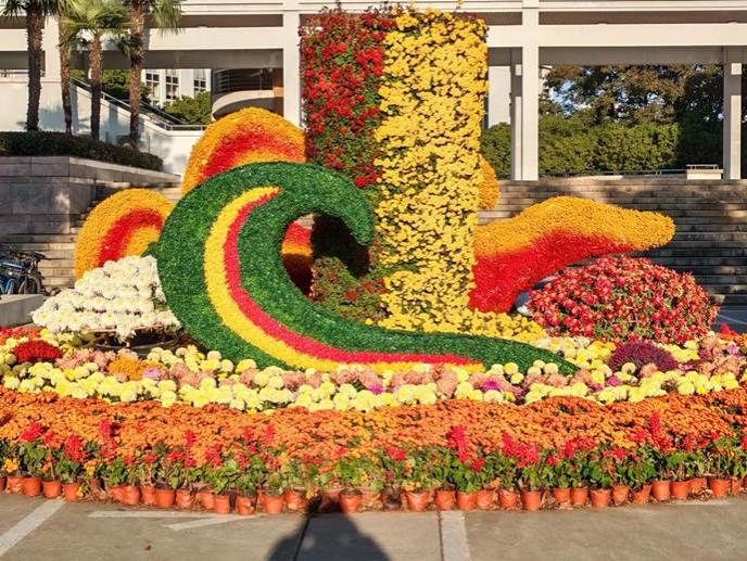 微信图片_20251209155929