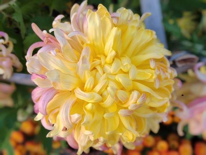 微信图片_20251209160003